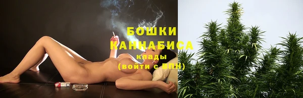 шишки Волосово