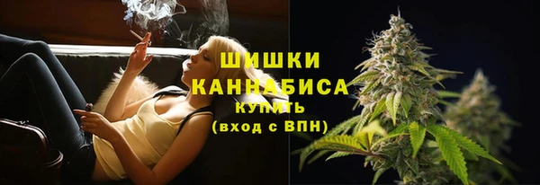 ГАЛЛЮЦИНОГЕННЫЕ ГРИБЫ Слюдянка