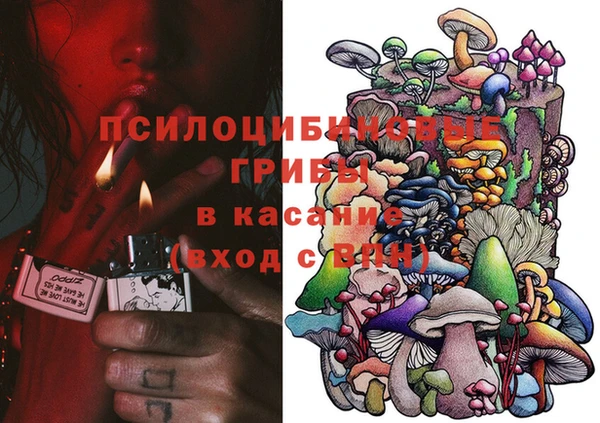 ГАЛЛЮЦИНОГЕННЫЕ ГРИБЫ Слюдянка