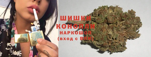 шишки Волосово